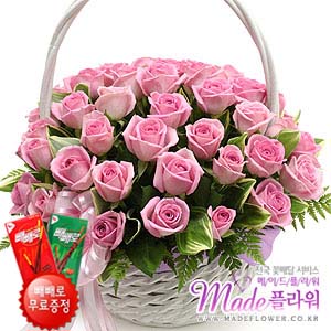 �󼼳��뺸��